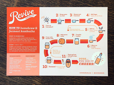 Revive Kombucha Infographic diy icons illustrations infographic kombucha maker marketing collateral revive