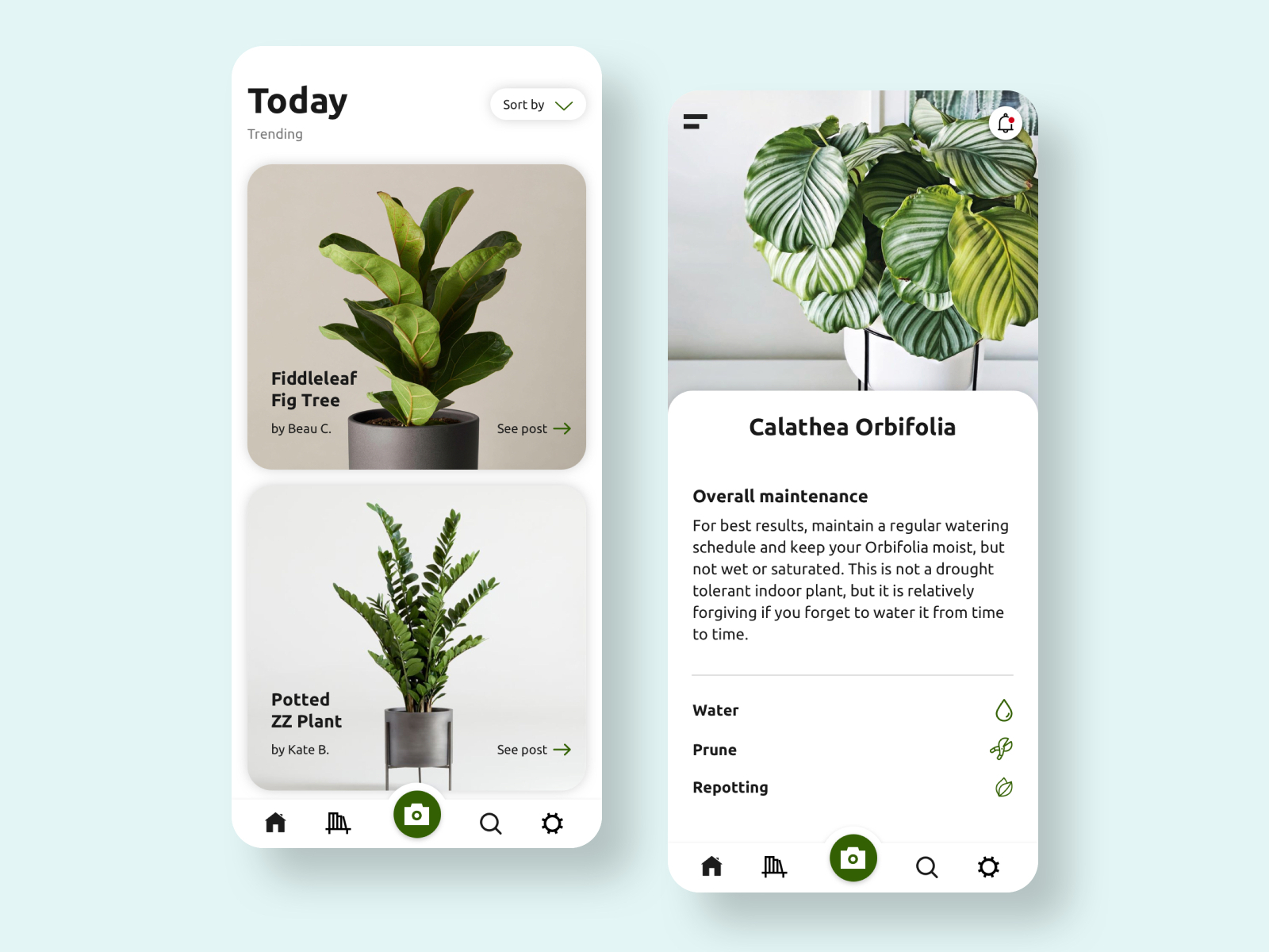 Jungle Gym Plant App by Bowie S. on Dribbble
