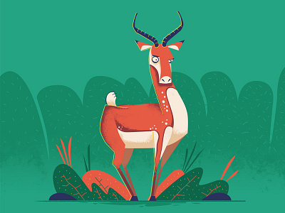 Antelope 2d character design design illustration vector