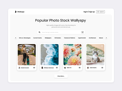Popular Photo Stock Web Page Design