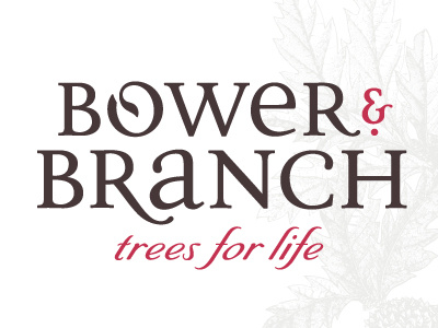 Bower & Branch custom type logo
