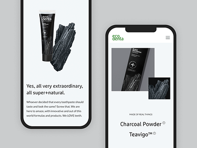 Responsive Web Design for Ecodenta app branding design illustration interaction landing layout minimal organic outer package page product responsive toothpaste ui ux web web design website
