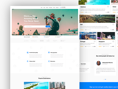 Travel Agency Web Design