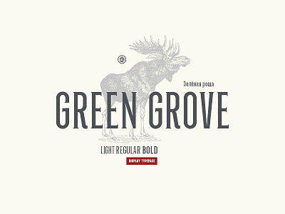 Green Grove typeface // Latin & Cyrillic compressed cyrillic design display font letters serif type typeface typography