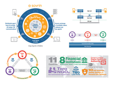 Sovrin Token Whitepaper Infographics adobe illustrator design infographics tech company