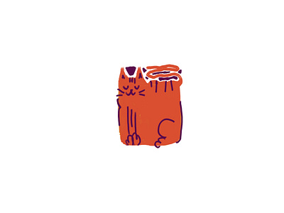 Square cat