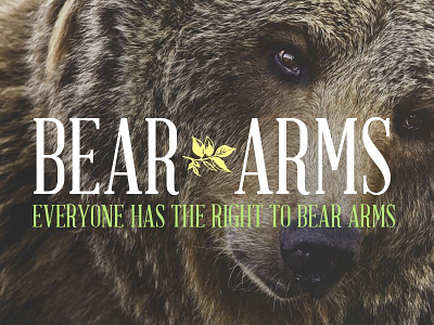 Stupid Logo - Bear Arms
