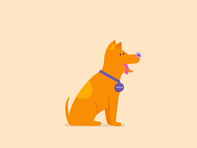 Kudoz Dog Animation after effects animation character dog happy illustration illustrator motion motion graphics puppy run run cycle shape layers sniff wag walk walk cycle