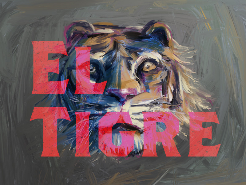 El Tigre journal font tigre el paint illustration tiger painting digital 4 procreate
