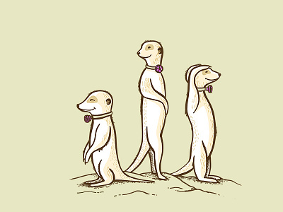 Passy Meerkats illustration ipad meerkat muir passy pro procreate speaking valve