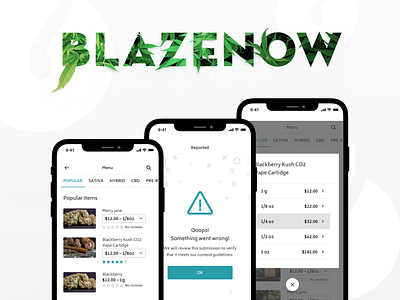 BlazeNow Screenshots app brand branding branding design design logo logo design ui ux web