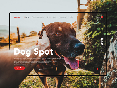 Dog Store Web UI app design design graphic design illustration interaction design photoshop ui ui design ux design vector webui