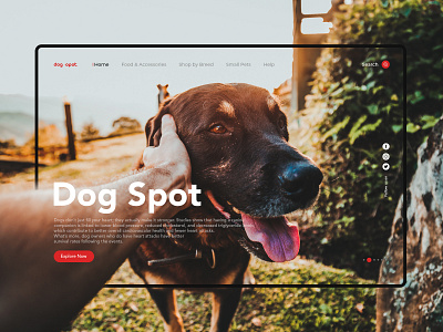 Dog Store Web UI