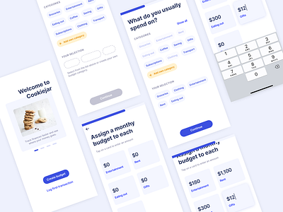 Budgeting app concept