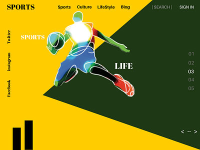 Sports Website Designing Company