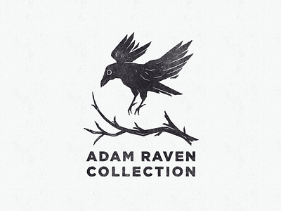Logo design for Adam Raven art branding design illustration illustrator logo minimal package typography vector