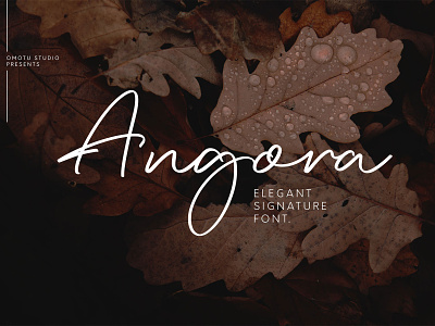 Angora | Elegant Signature Font advertisements branding handlettering logos logotype product design product packaging script fonts social media posts typography