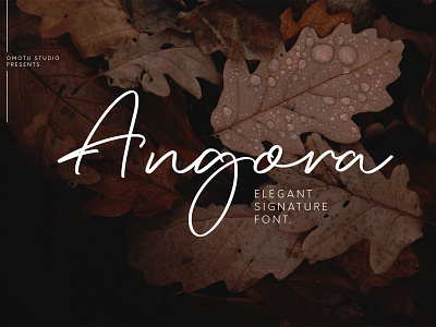 Angora | Elegant Signature Font