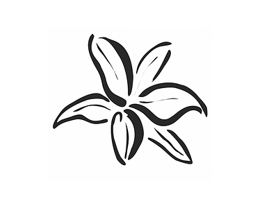 Lily Illustration flower icon illustration lily painting vector