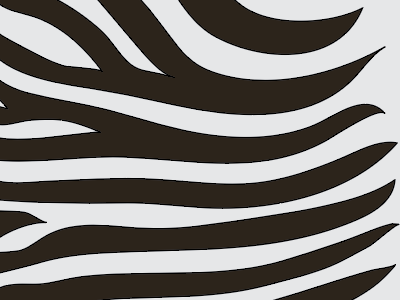 Zebra Stripes animal pattern zebra zoo