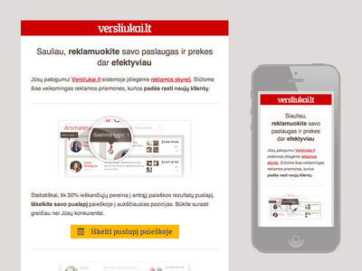 Versliukai.lt paid services newsletter