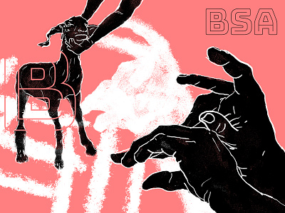 B.S.A. Illustration for bsa.website b.s.a black and white kyle brushes photoshop salmon