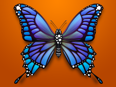 Butterfly for Baidu Search New Vision-03 butterfly icon insect ui violet