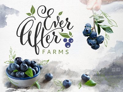 EverAfterFarms Logo blueberry farm fruit logo ranch typography typography art typography logo wedding