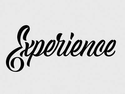 Experience