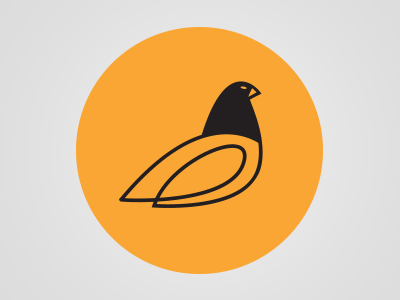 Pigeon design identity pigeon pittsburgh