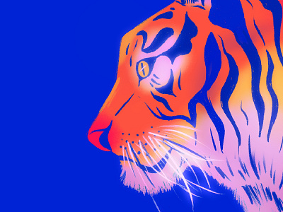 Neon Tiger animation colors design drawing illustration procreate vector