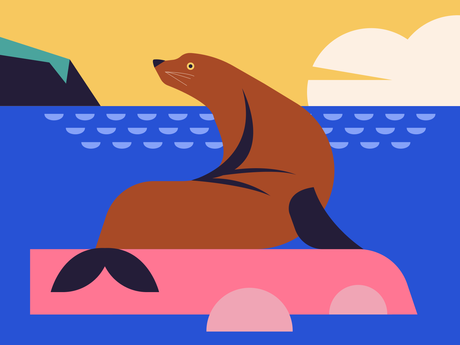 Sea Lions in San Francisco Trip by E L A R T H U R S on Dribbble