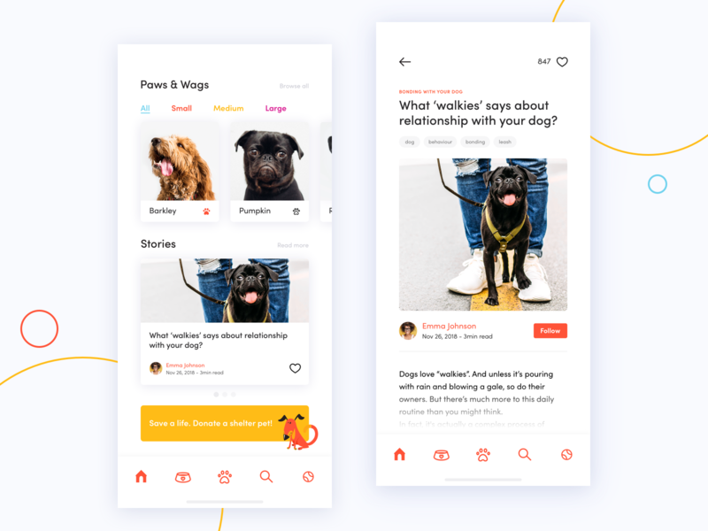 Dog Donation App Concept adoption app article cards concept dog donation ios iphone x miquido mobile paw pet tag ux ui