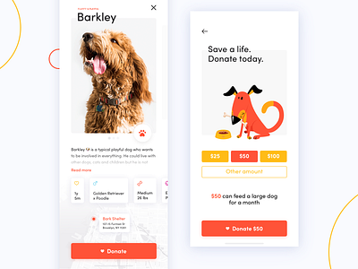 Dog Donation App Concept adopt app cards clear concept dog donation ios iphone x miquido mobile pet swipe ui ux