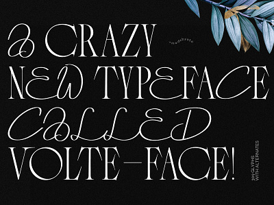 Volte-Face Typeface chic serif font design display font elegant font feminine font femmetype graphic design playful font serif font typography webdesign