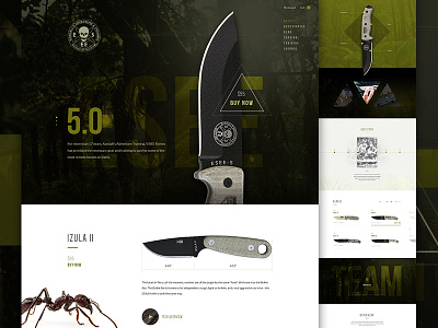 ESEE art direction cart creative direction e commerce ecommerce im jack dusty knife outdoor product shop timeline triangle