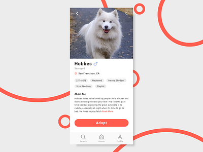 Daily UI #006 User Profile