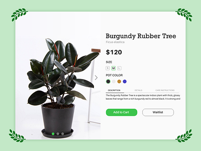 Daily UI #012 Single Product