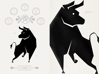 Taurus art astrology astrology sign bull design fixed earth illustration illustrator rose star taurus venus