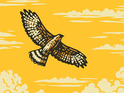 Explore Oklamerica: Hawk adobe illustrator animal bird digital woodcut hawk illustration linocut oklahoma scratchboard t-shirt design vector wildlife woodcut