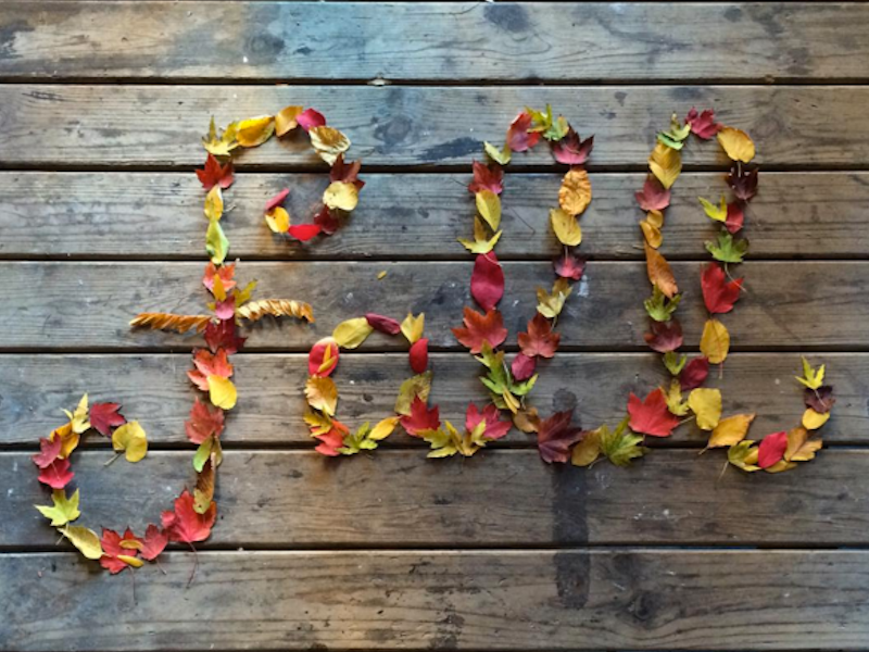 Fall by Cristina Vanko on Dribbble