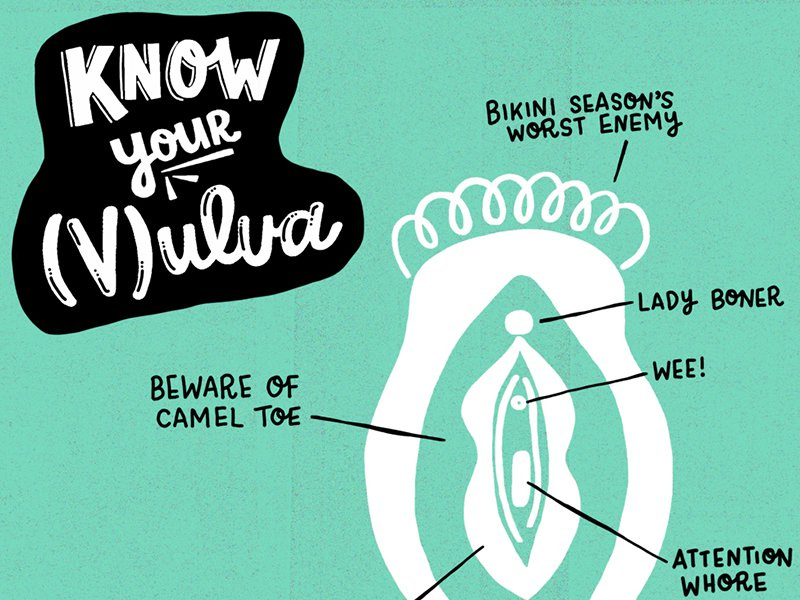 Know Your Vulva Infographic hand lettering hand-lettering handlettering illustration lettering