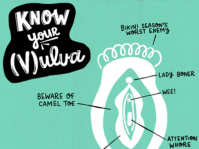 Know Your Vulva Infographic hand lettering hand lettering handlettering illustration lettering