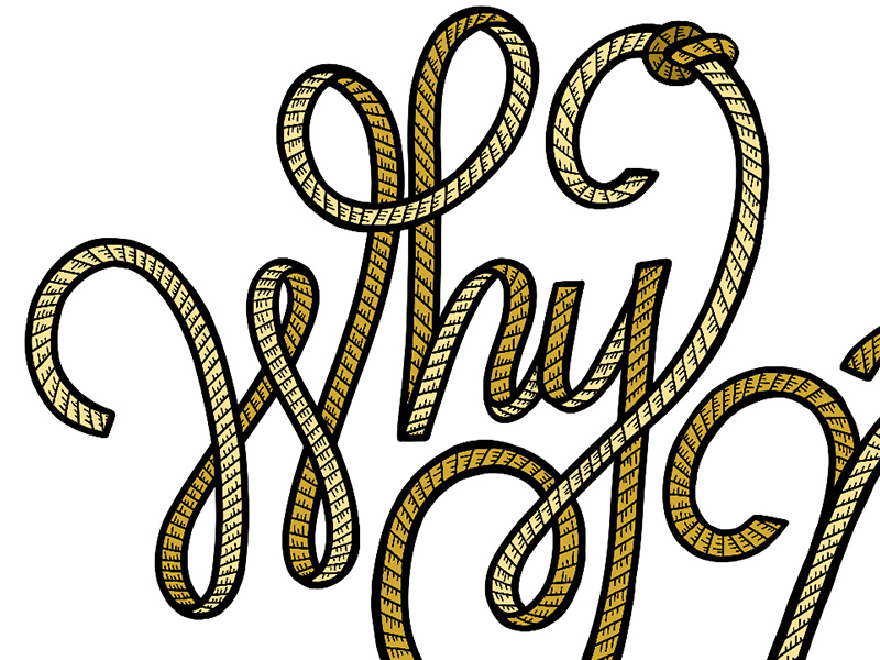 Why Not In Progress script cursive typography type handlettering lettering
