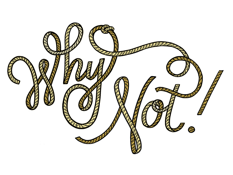 Why Not! script cursive typography type handlettering lettering