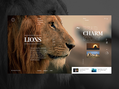 Dynasties - Lions Charm art biography charm design documentary dynasties lions ui ux web website