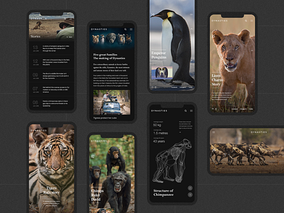 Dynasties - Mobile UI Design app art biography design documentary dynasties ui ux