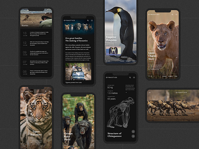 Dynasties - Mobile UI Design by Lewis on Dribbble