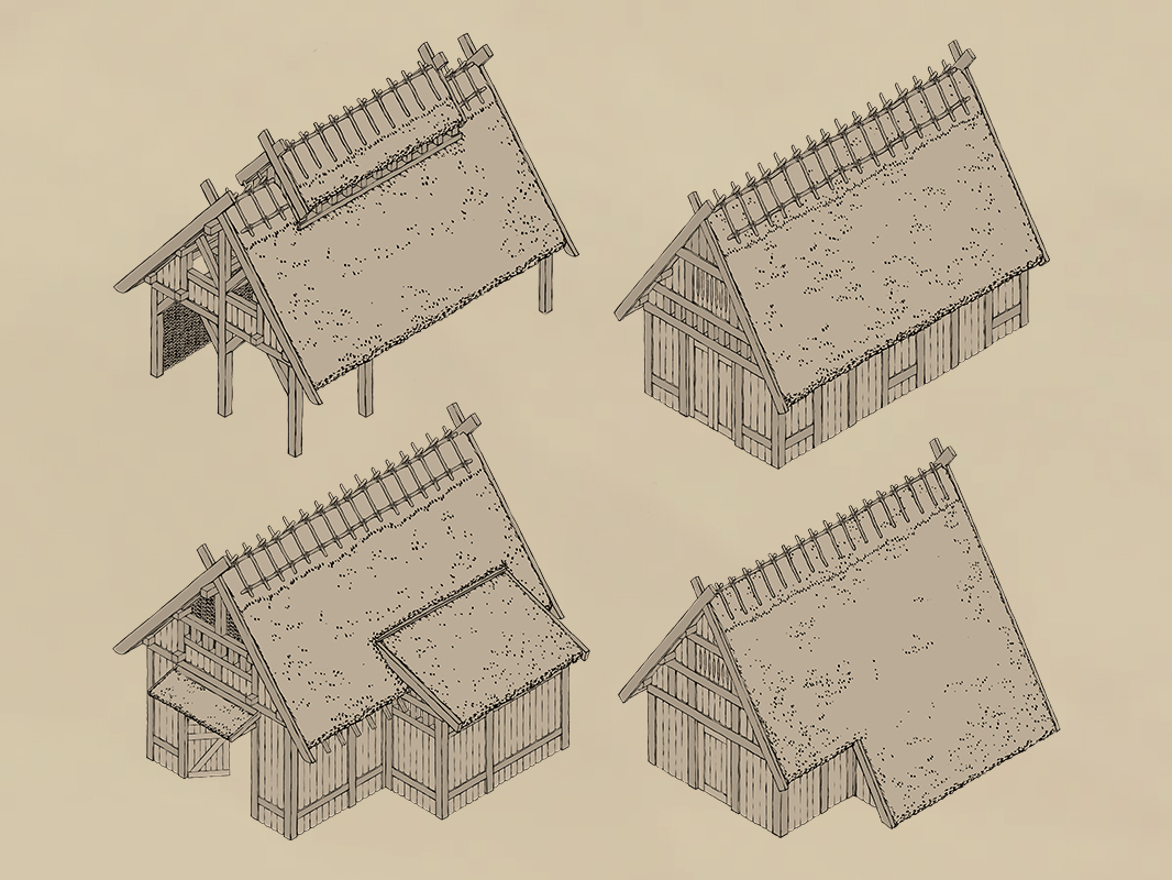 viking house design