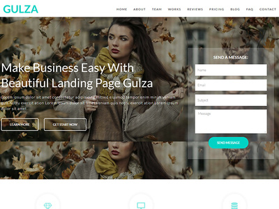 Gulza Lite - Free Easy Startup WordPress Theme